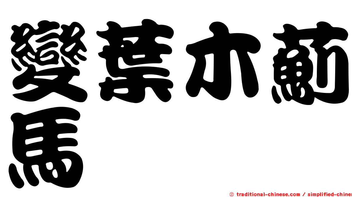 變葉木薊馬