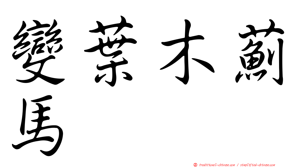 變葉木薊馬