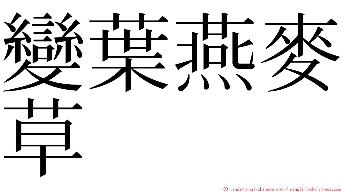 變葉燕麥草 ming font