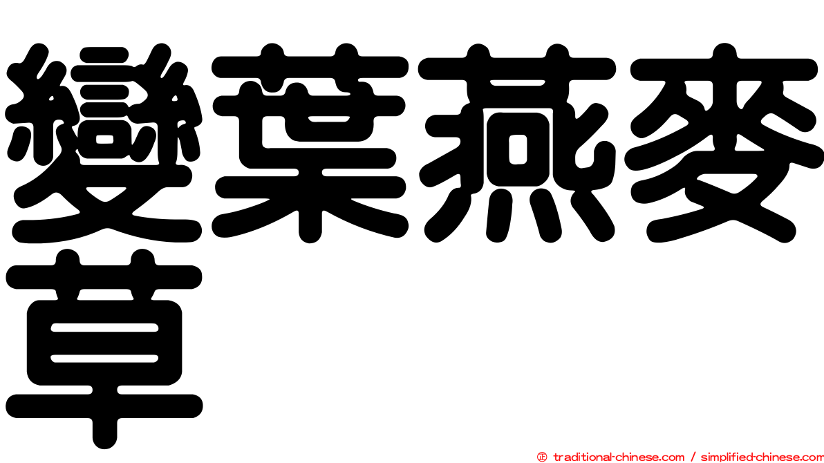 變葉燕麥草