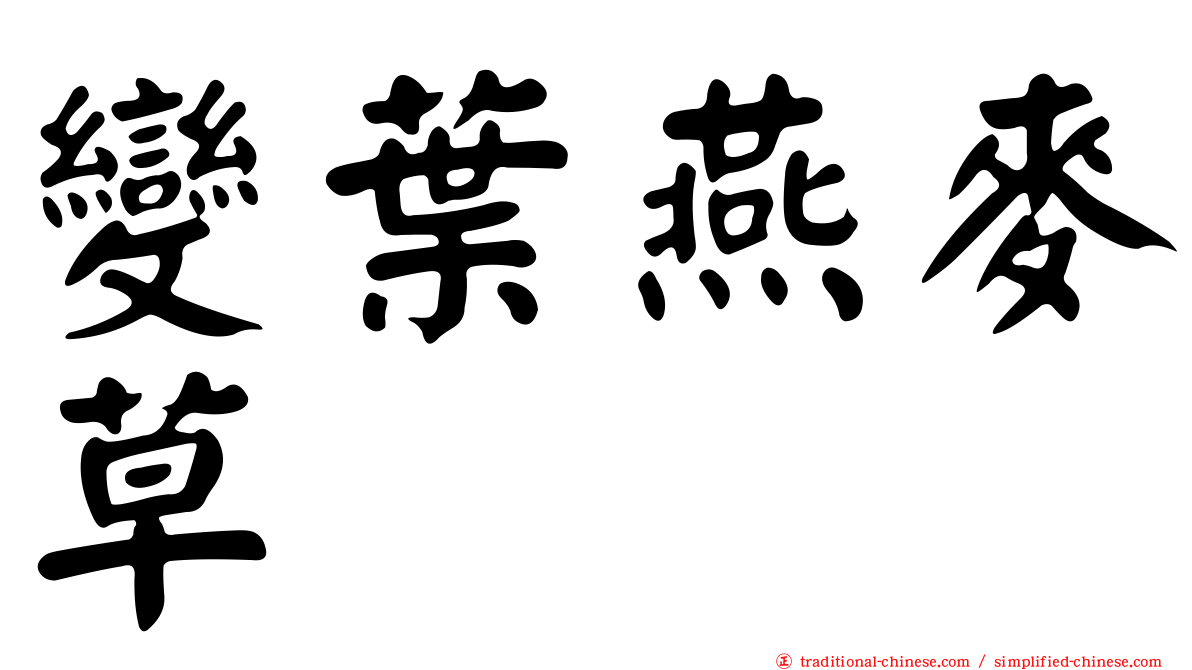 變葉燕麥草