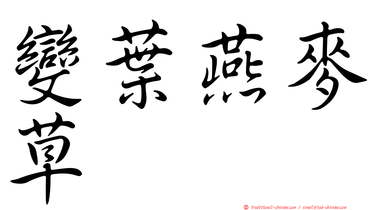 變葉燕麥草