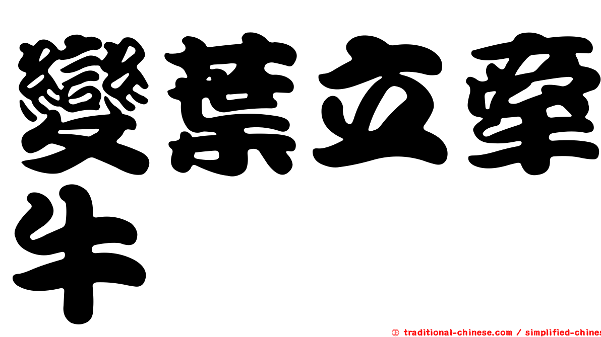 變葉立牽牛
