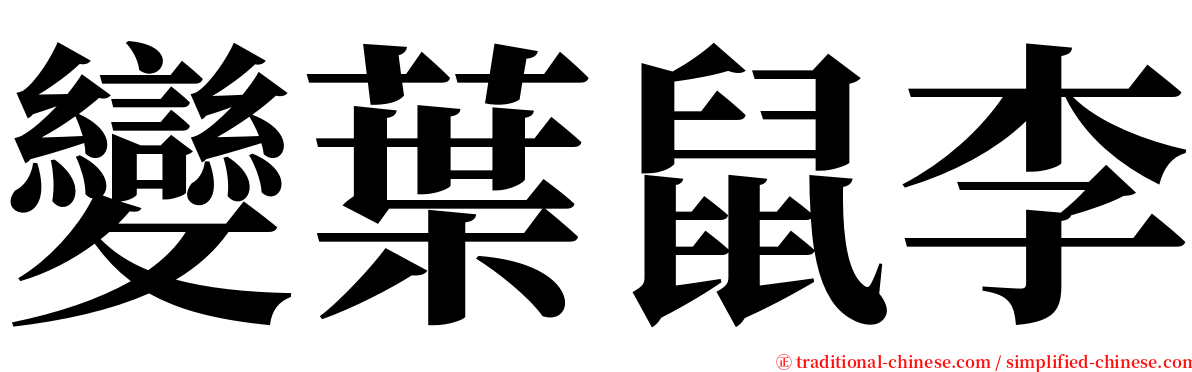 變葉鼠李 serif font