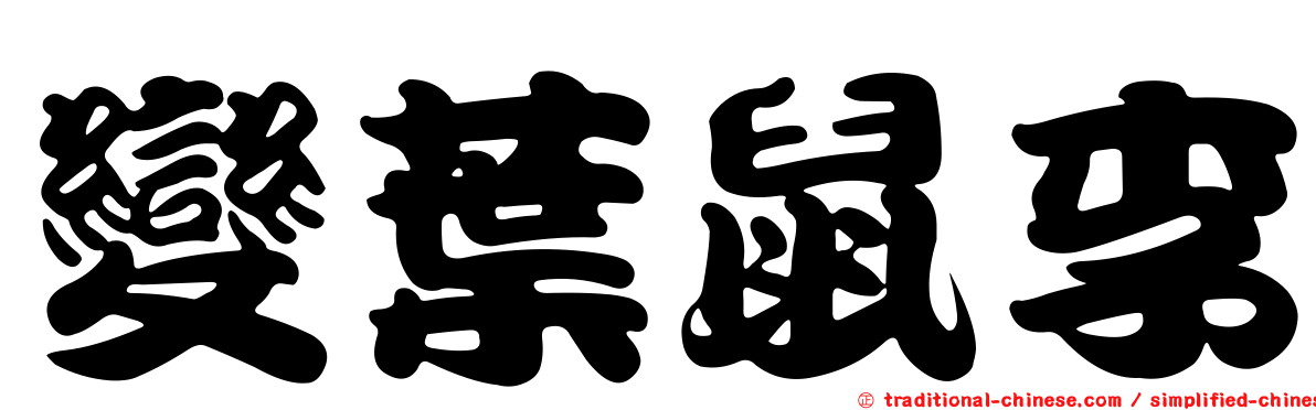 變葉鼠李