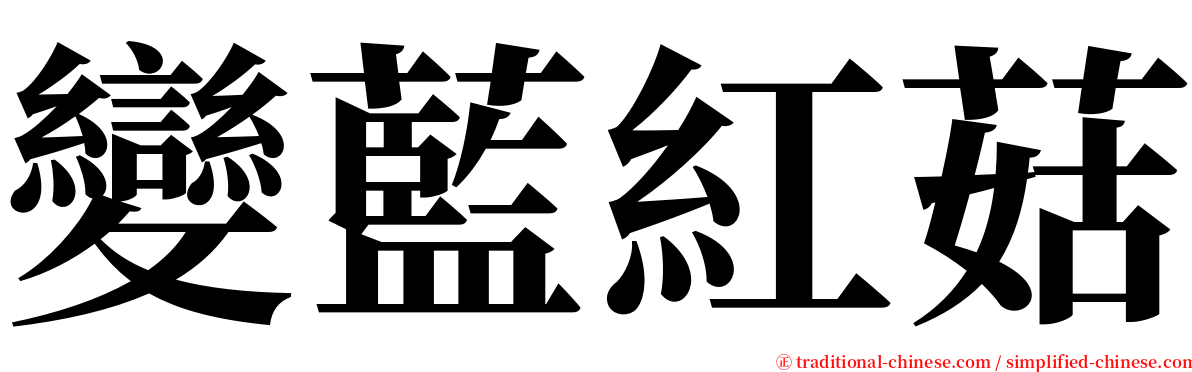 變藍紅菇 serif font