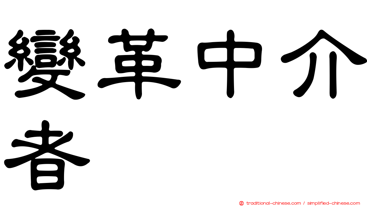 變革中介者