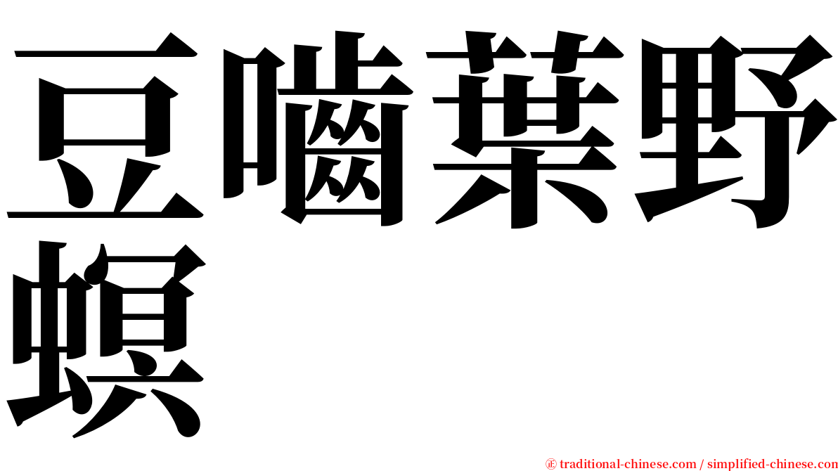 豆嚙葉野螟 serif font
