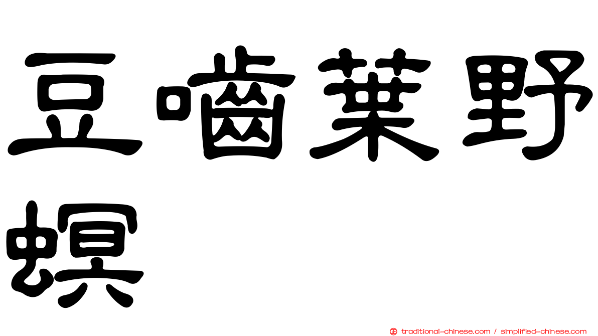 豆嚙葉野螟