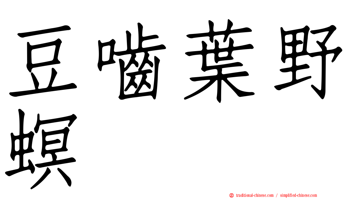 豆嚙葉野螟