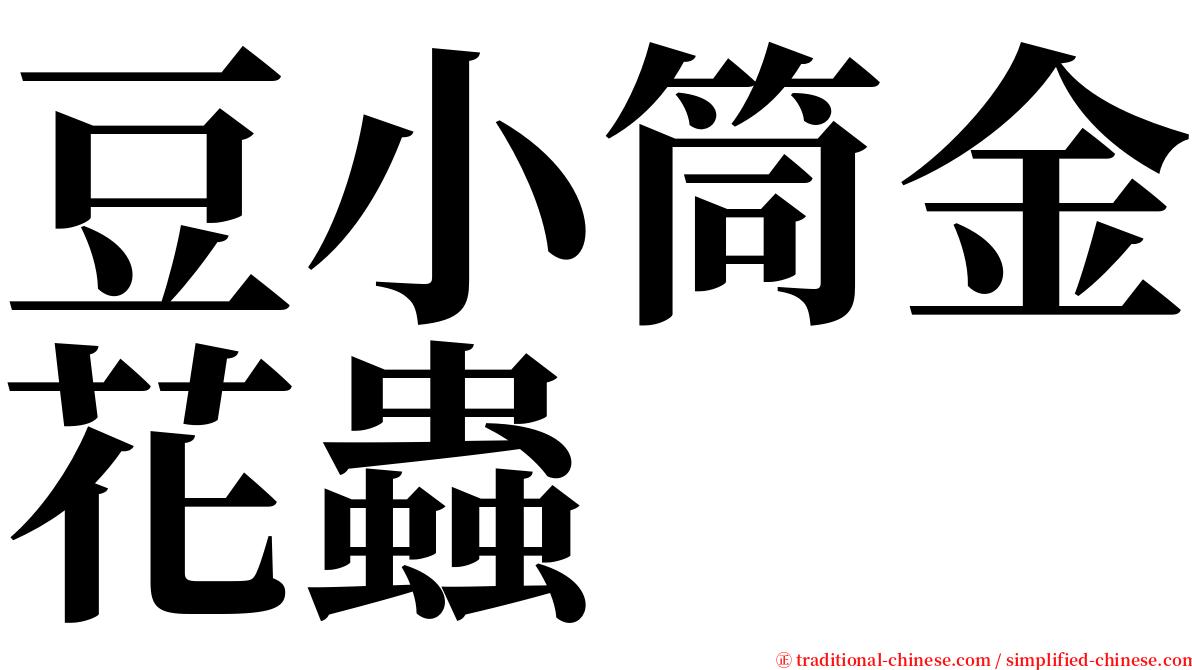 豆小筒金花蟲 serif font