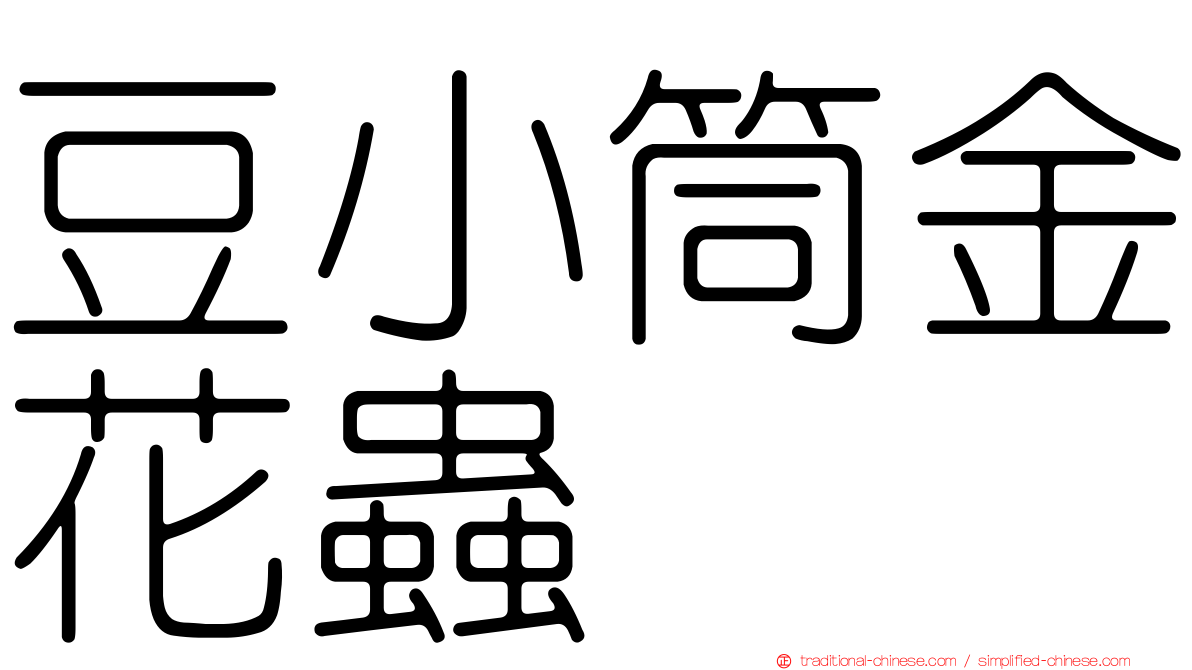 豆小筒金花蟲