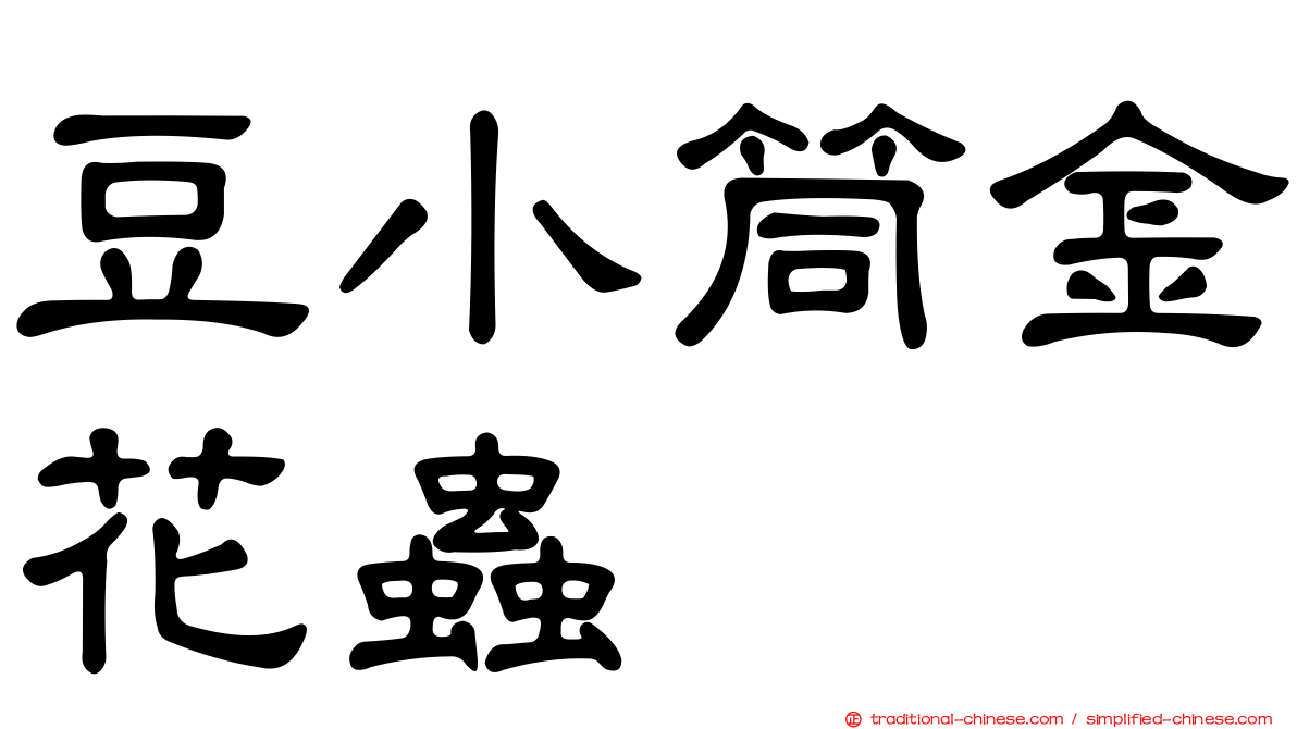 豆小筒金花蟲