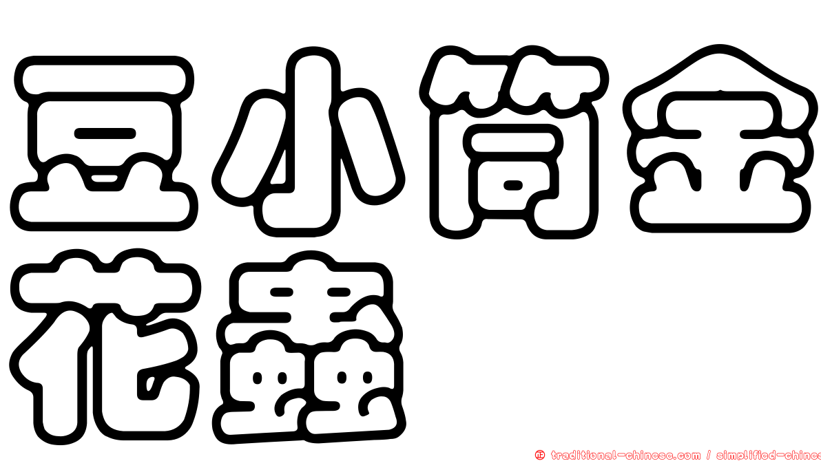 豆小筒金花蟲
