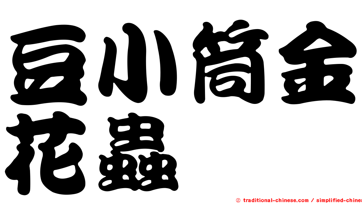 豆小筒金花蟲