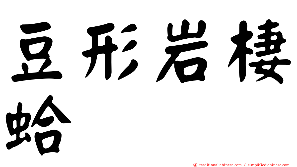 豆形岩棲蛤