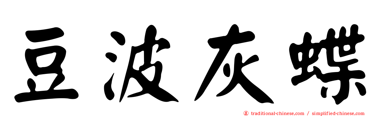 豆波灰蝶