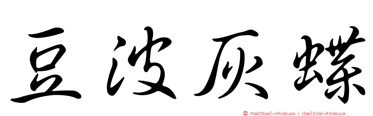 豆波灰蝶
