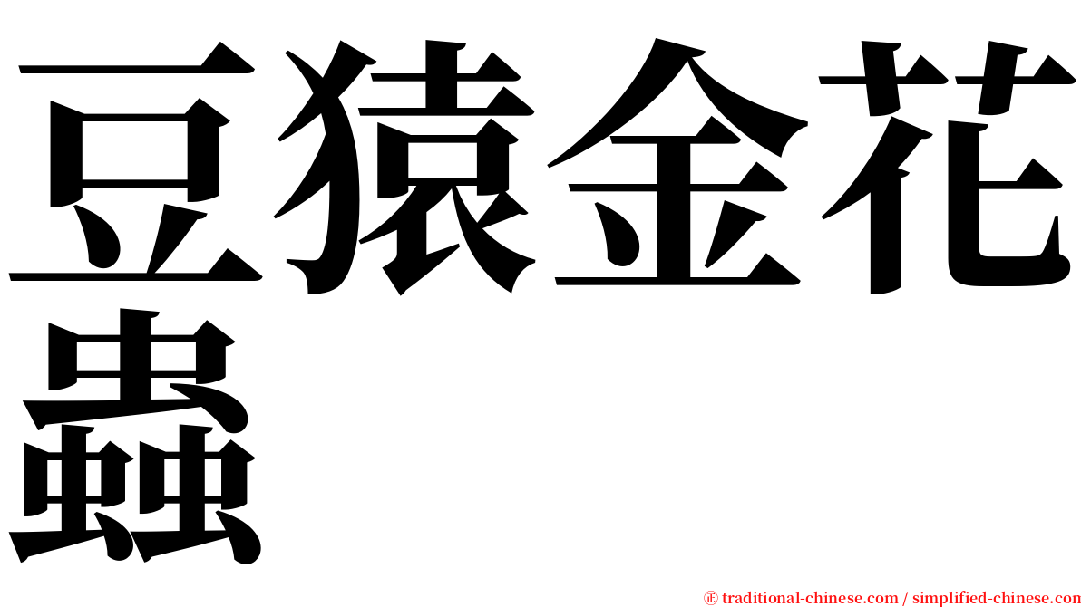 豆猿金花蟲 serif font
