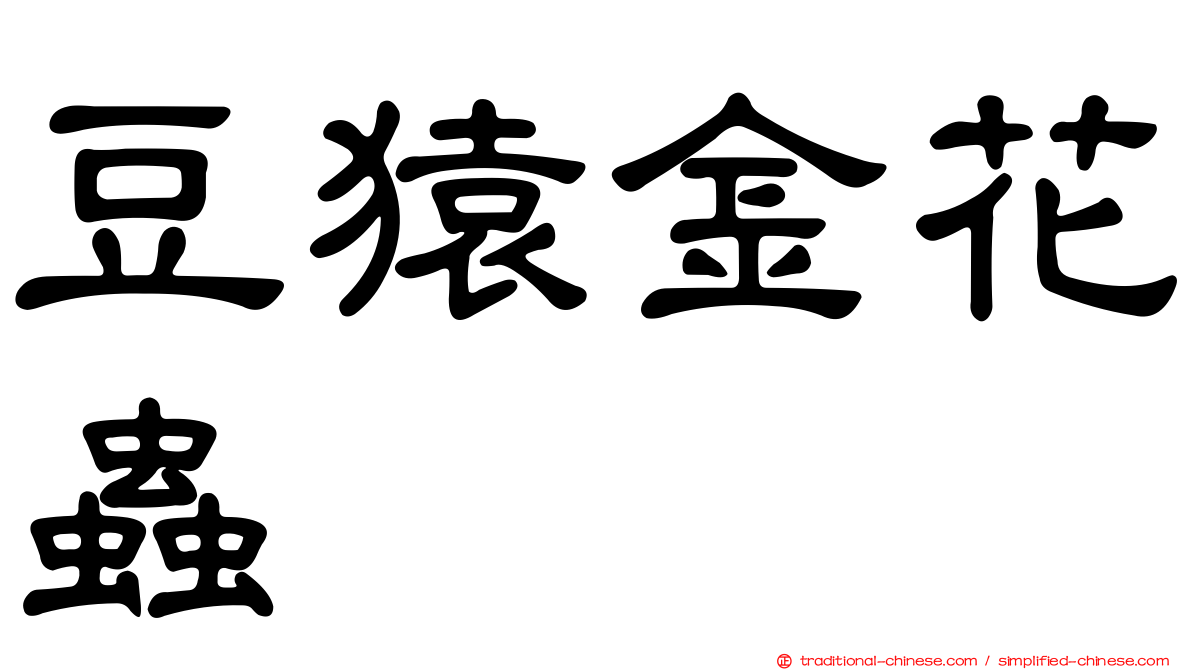 豆猿金花蟲