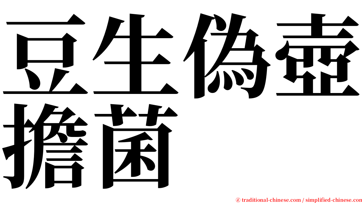 豆生偽壺擔菌 serif font