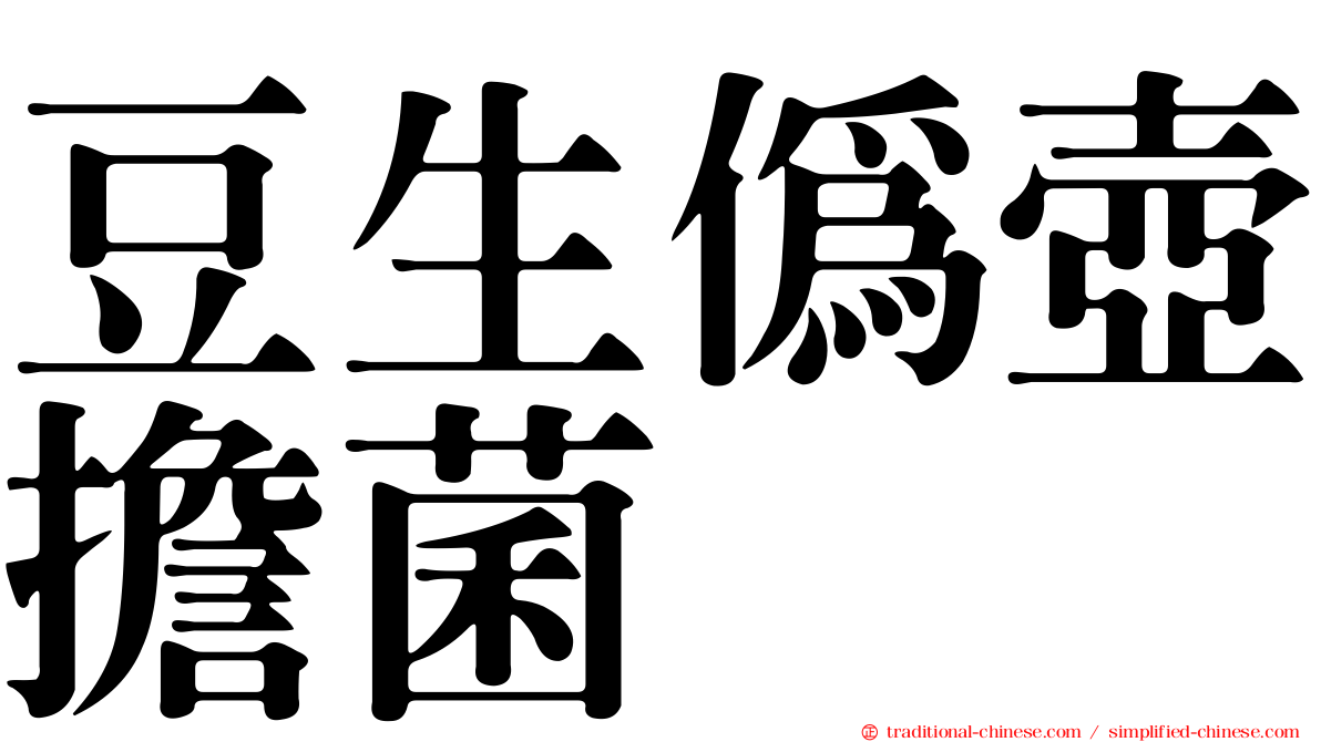 豆生偽壺擔菌