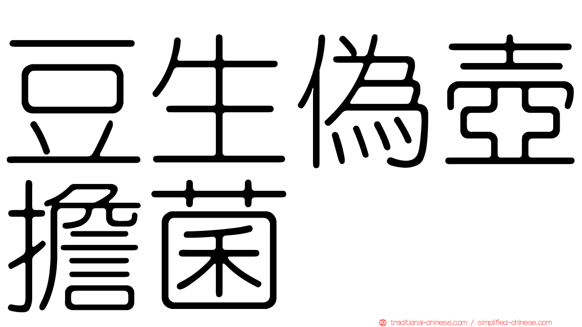 豆生偽壺擔菌
