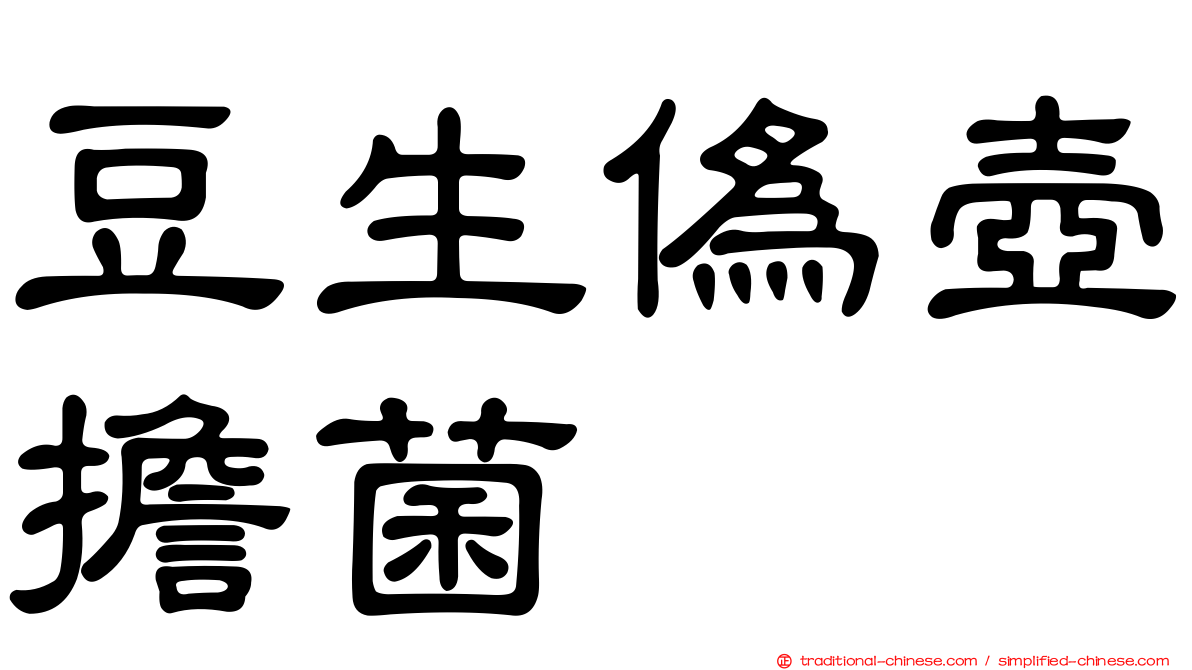 豆生偽壺擔菌