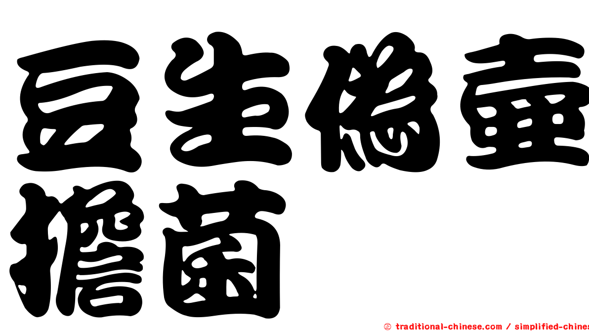 豆生偽壺擔菌
