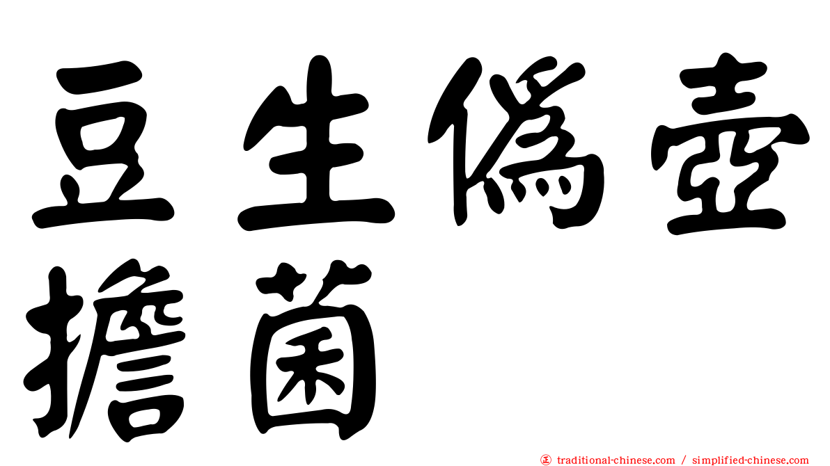 豆生偽壺擔菌