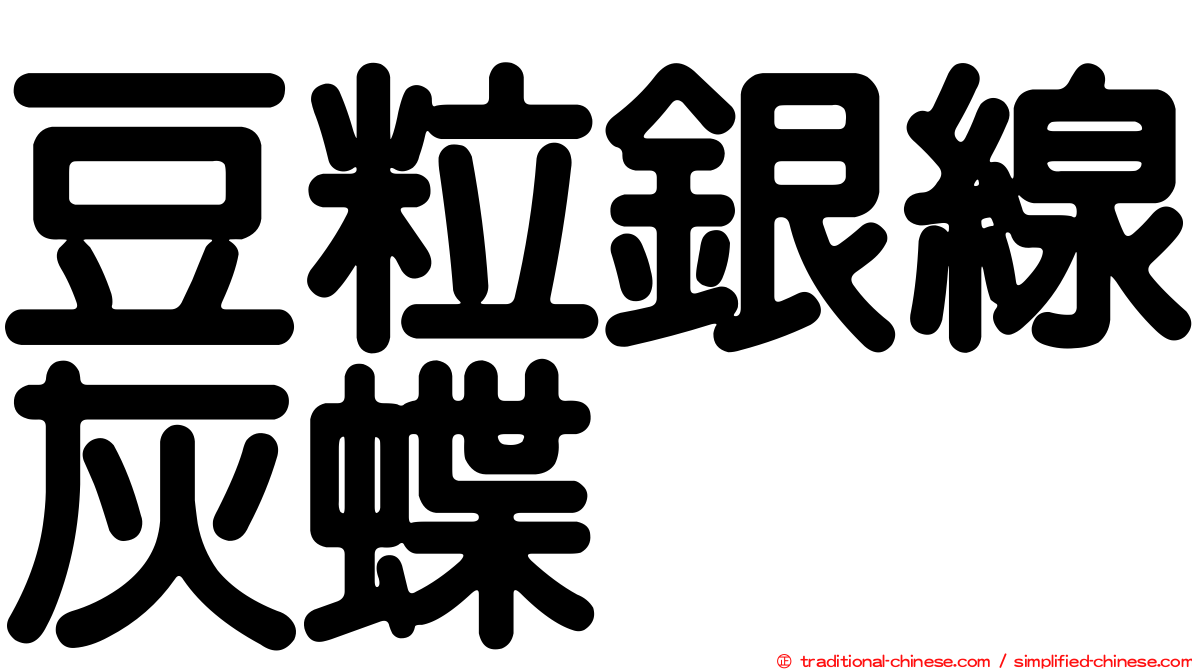 豆粒銀線灰蝶