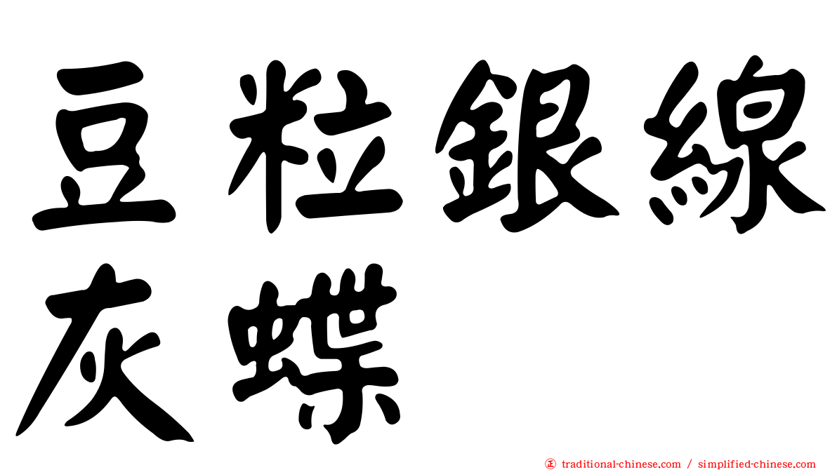 豆粒銀線灰蝶