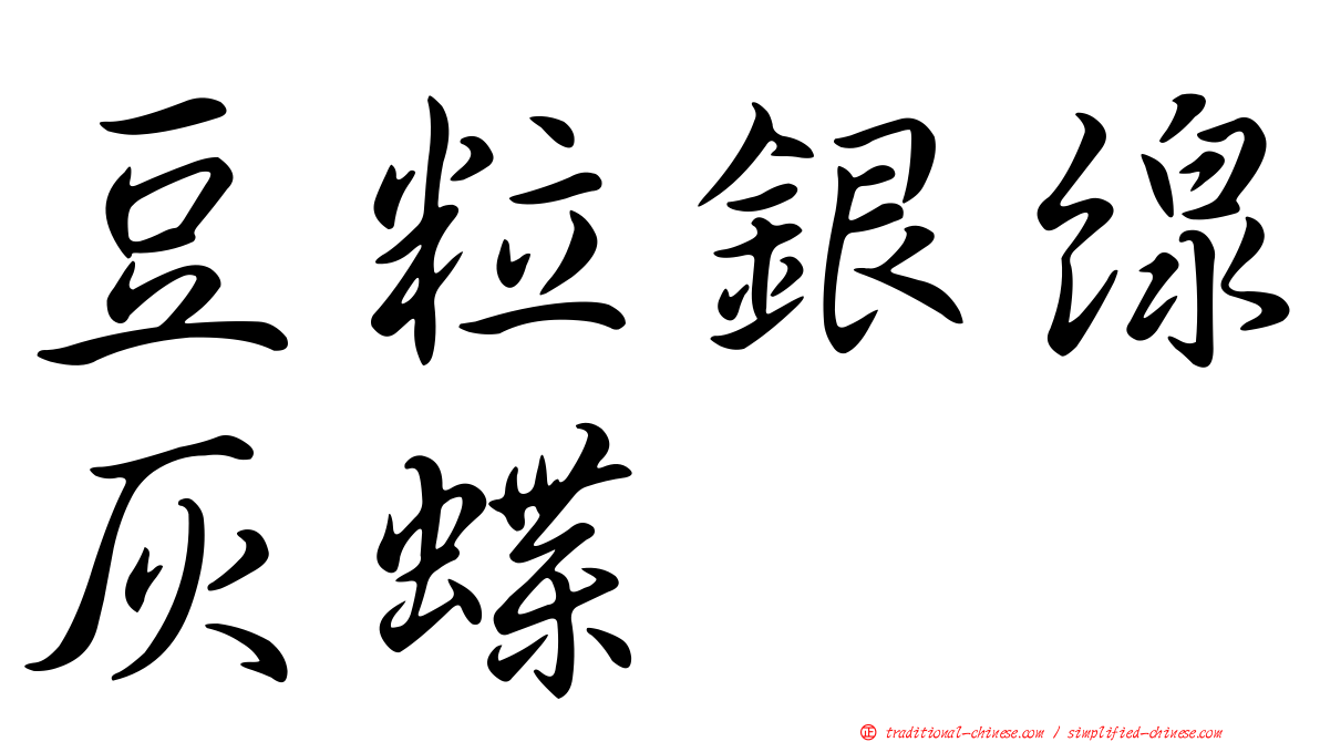 豆粒銀線灰蝶