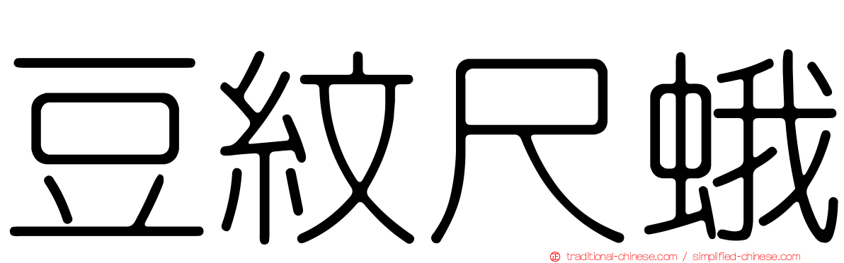 豆紋尺蛾