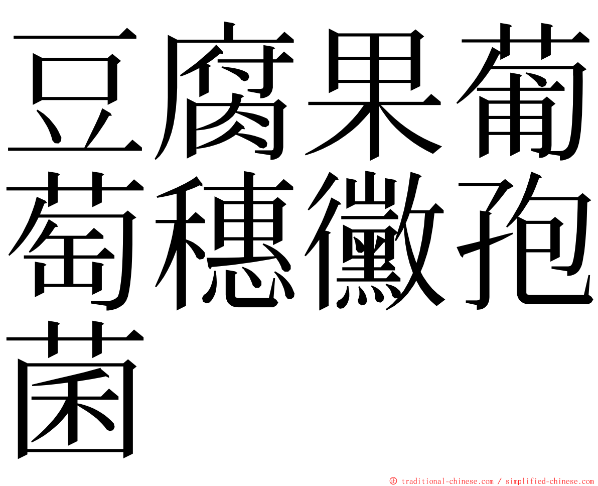 豆腐果葡萄穗黴孢菌 ming font