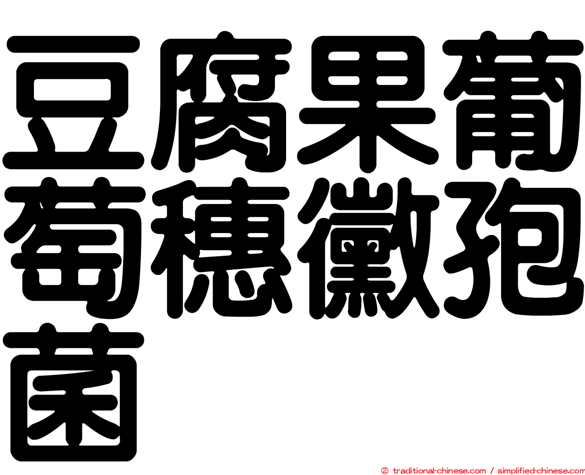 豆腐果葡萄穗黴孢菌