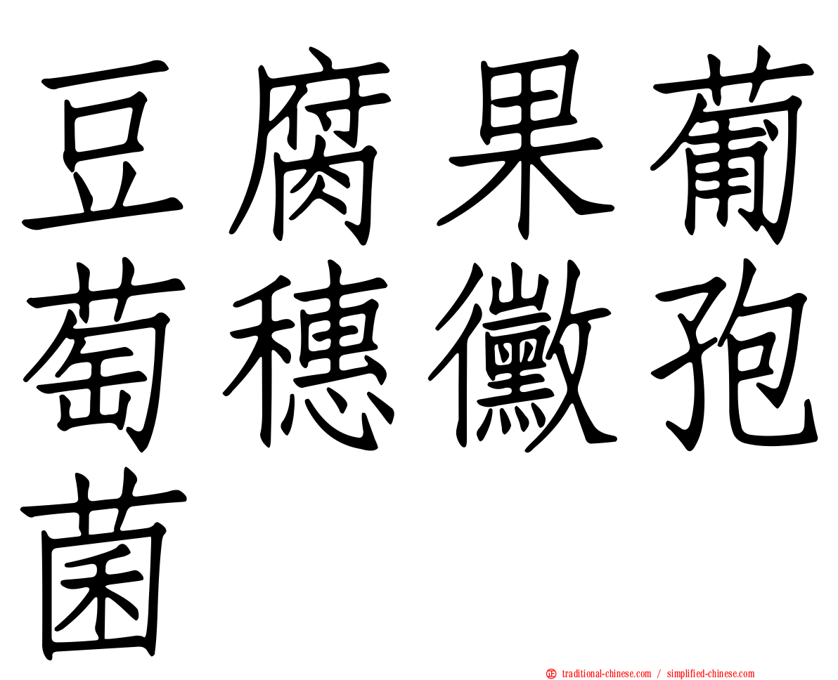 豆腐果葡萄穗黴孢菌
