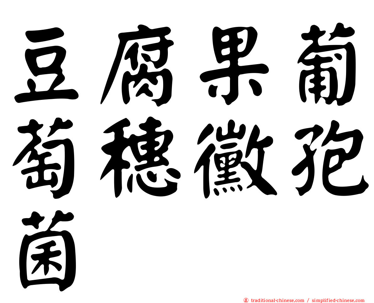 豆腐果葡萄穗黴孢菌