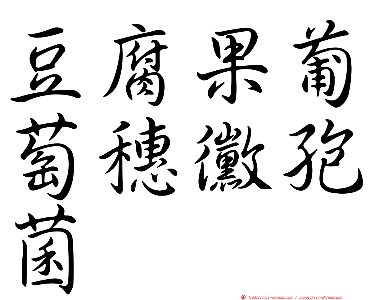 豆腐果葡萄穗黴孢菌