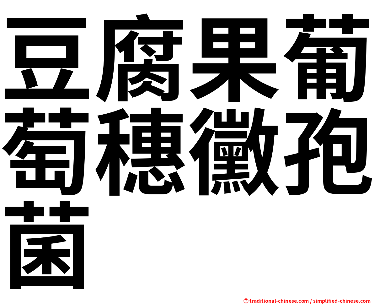 豆腐果葡萄穗黴孢菌