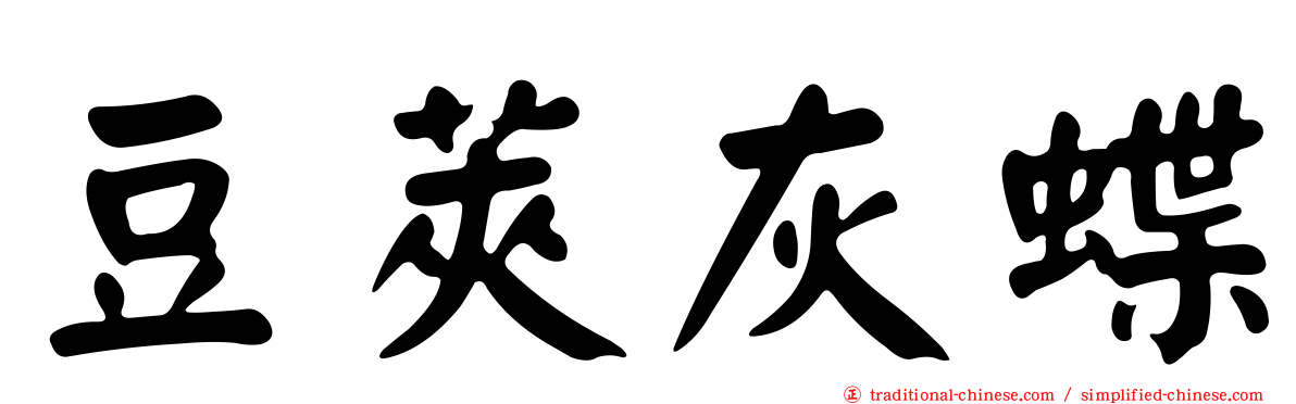 豆莢灰蝶