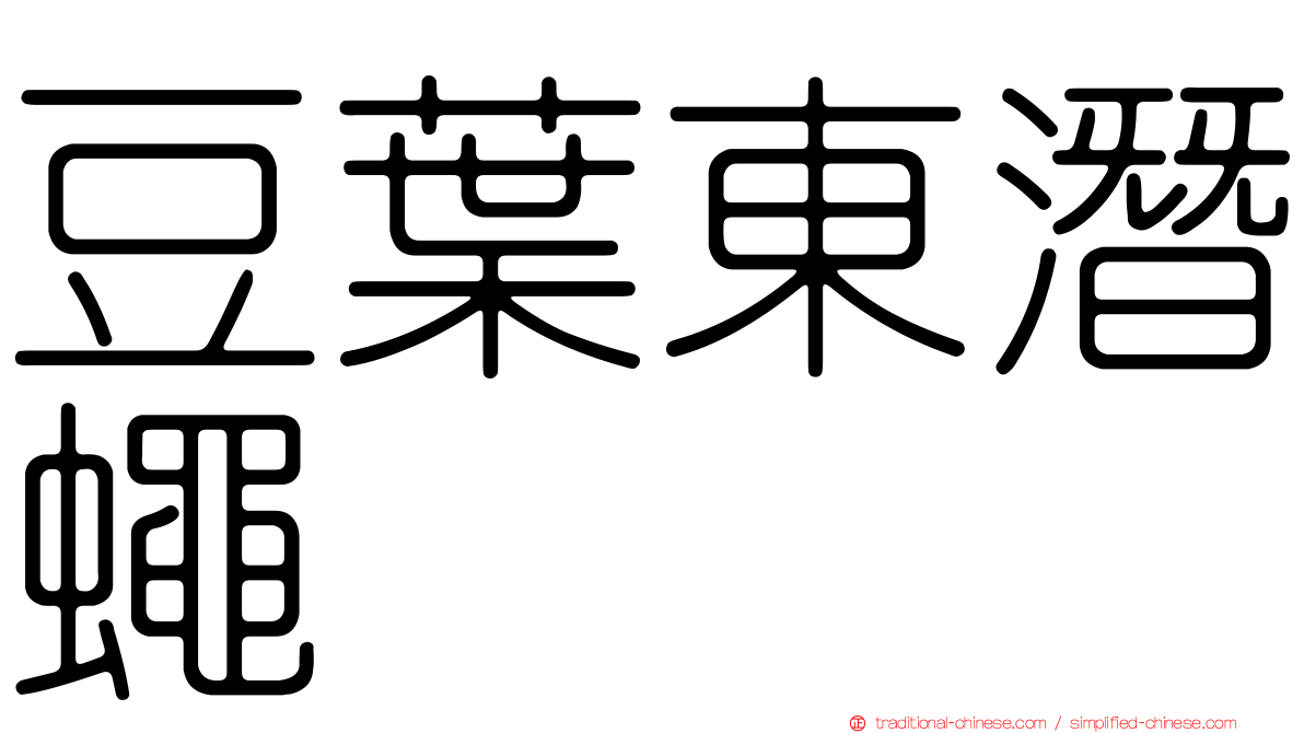 豆葉東潛蠅