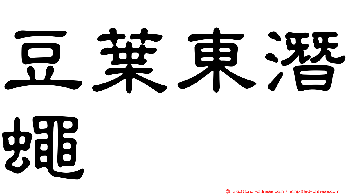 豆葉東潛蠅