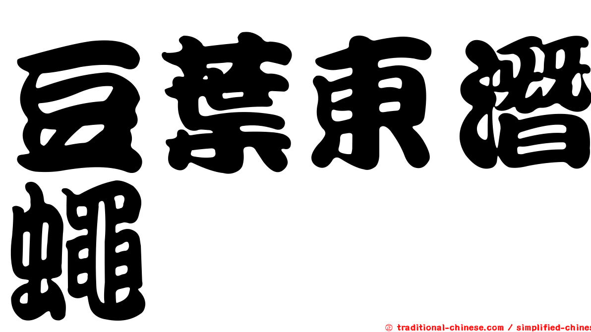 豆葉東潛蠅