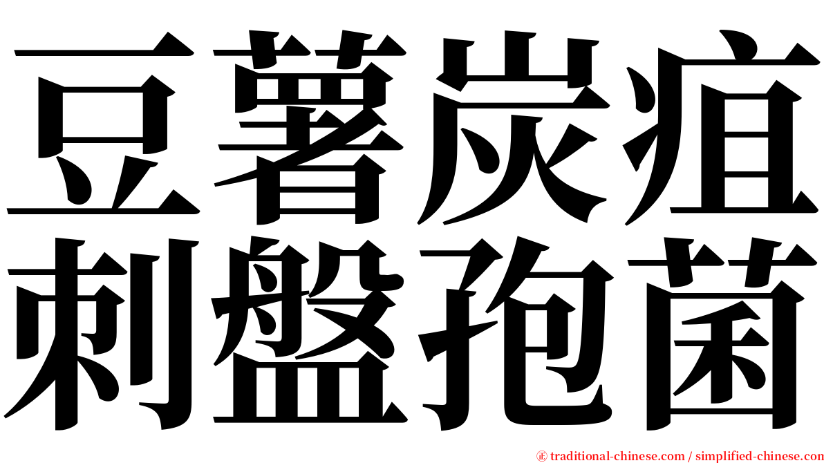豆薯炭疽刺盤孢菌 serif font