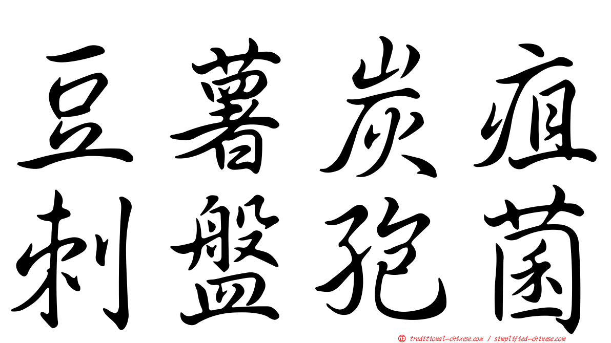 豆薯炭疽刺盤孢菌