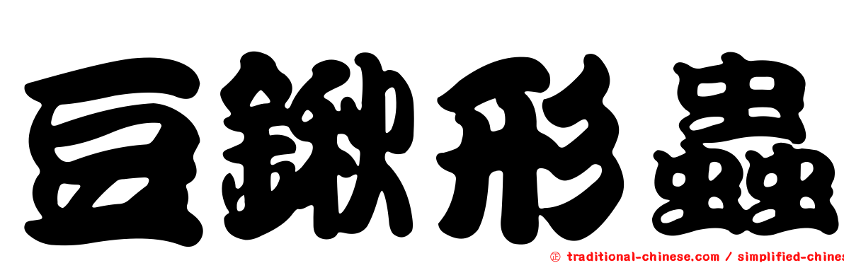 豆鍬形蟲