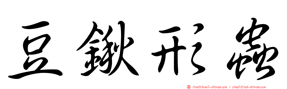 豆鍬形蟲