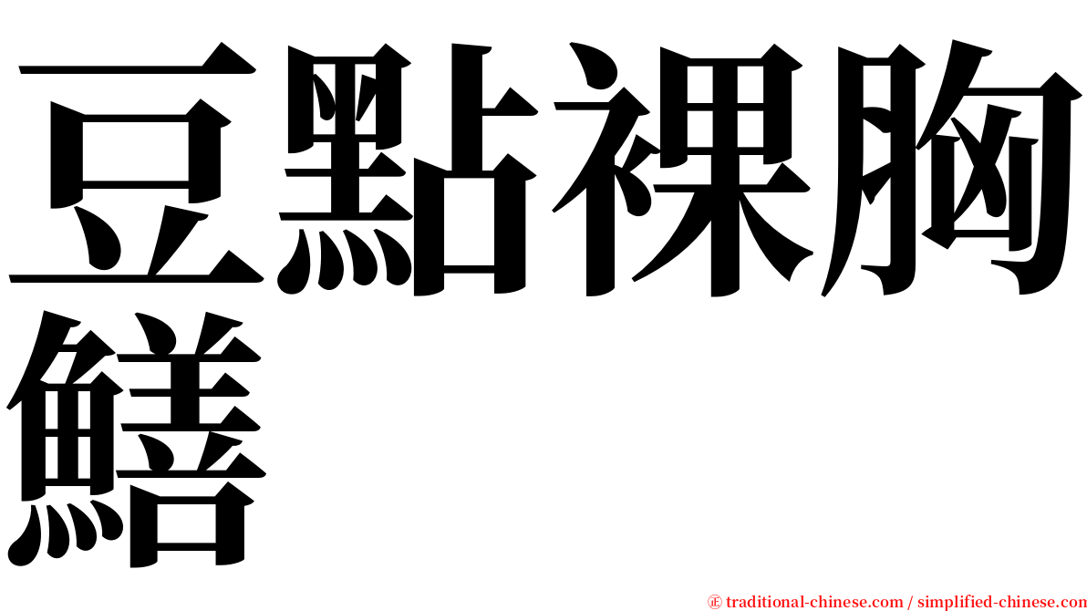 豆點裸胸鱔 serif font