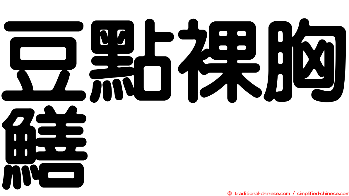 豆點裸胸鱔